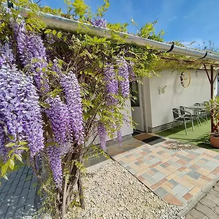 Ferienhaus Maja Anna Vendeghaz Bogács